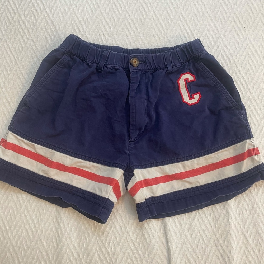 Chubbies: The Center Ices small